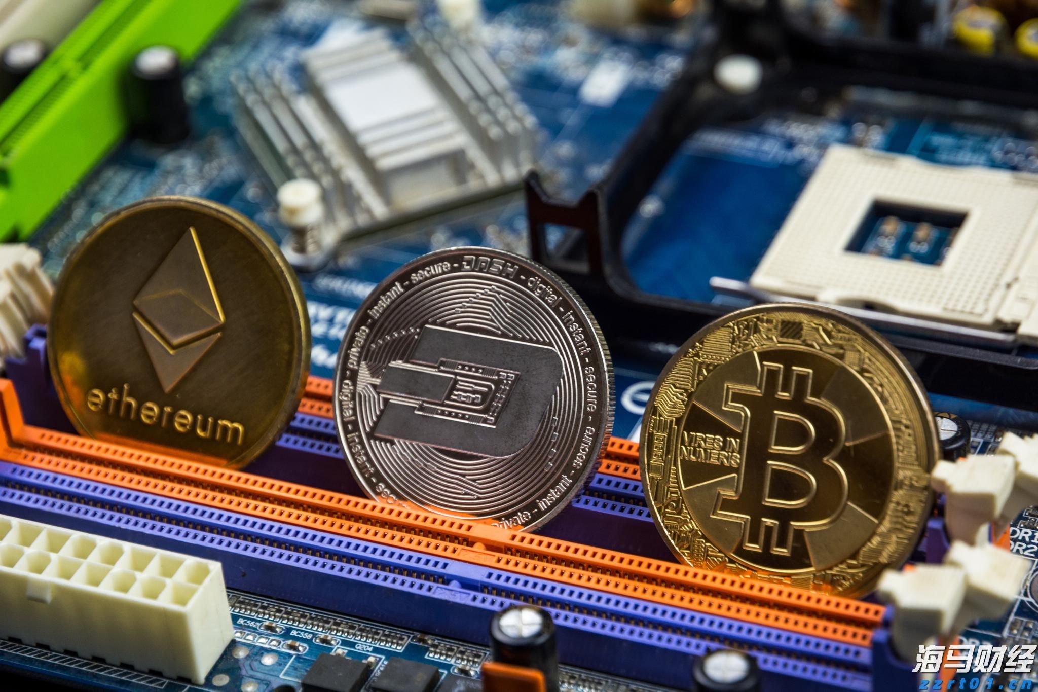 快讯丨市领导到贵港幸福田园项目调研